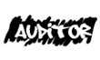 Auditor