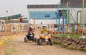 The Wild Tribe Ranch