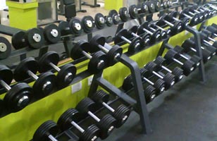 Body Mechanics - The Fitness Lyrics