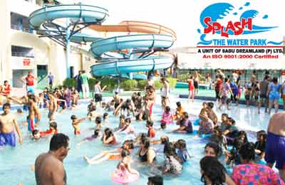 Kentucky horse park discount coupons