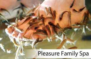 Pleasure Family Spa