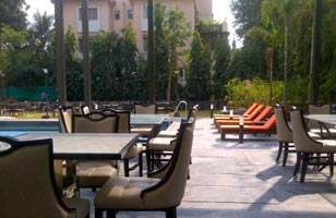 Firangi Tadka