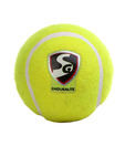 SG Enduralite Cricket Balls (Pack Of 5)