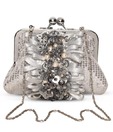 Favola Enchanting Silver Lace Clutch