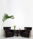 Plage Palm Branch Wall Sticker - Large