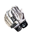SM Fanatic Cricket Batting Gloves