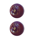 SM Fanatic Cricket Leather Ball (2 qty)