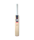 GM Flare Striker Kashmir Willow Cricket Bat