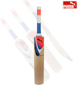 Puma Pulse 3000 English Willow Cricket Bat (Size 7)