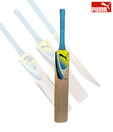 Puma Karbon Gtr Kashmir Willow Cricket Bat (Size 7)
