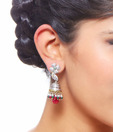 Agastya Classic Stone Earrings