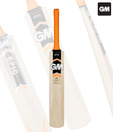 GM Epic 101 Kashmir Willow Cricket Bat