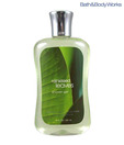 Bath & Body Works Rain Kissed Leaves Shower Gels 295ml
