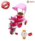 BSA Tricycle Perky With Free Watch