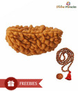 Divine Miracles Natural One Face Rudraksha