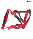 Body Set-Leash+Harness-1.5Inch (Leather) - Dog Leash and Harness