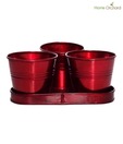 Home Orchard Glossy Red Planter Set With Tray