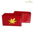 Home Orchard Striking Red Planter