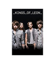 Kings Of Leon (Group) (24 x 36 Inches)