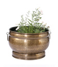 Live n Style Medium Brass Finish Planter With Rings