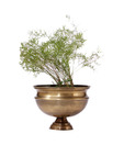 Live n Style Aesthetic Design Antique Brass Finish Medium Size Planter