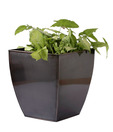 Live n Style Stunning Design Antique Finish Large Planter