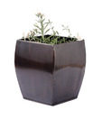 Live n Style Swanky Copper Finish Medium Size Planter