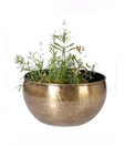 Live n Style Bowl Shape Brass Finish Small Size Planter
