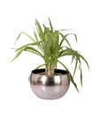 Live n Style Nickel Finish Small Iron Planter