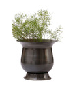 Live n Style Majestic Iron Planter