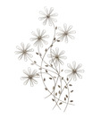 Live n Style Brass Tone Floral Wall Decor