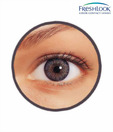Freshlook Colour Blends (2 Lens Pack) Grey