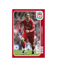 Liverpool (Torres) (15.7 x 19.6 Inches)