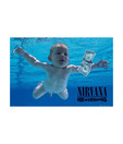 NIRVANA (nevermind) (24 x 36 Inches)