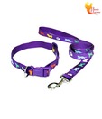 Smarty Cool Purple Collar & Lead