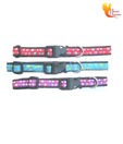 Buddy Adjustable Polka Dots Collar For Small Dogs & Puppies
