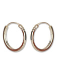 Silver Centrre Classic Earrings