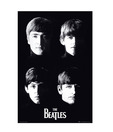 The Beatles With The (24 x 36 Inches)