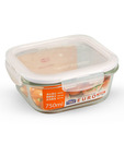 Lock & Lock Chic Square Container