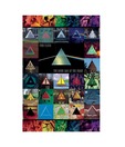 Pink Floyd Dark Side Of The Moon Immersion (24 x 36 Inches)