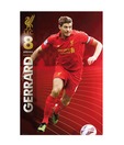 Liverpool Gerrard 2012-2013 (24 x 36 Inches)