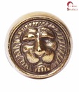 Home Sparkle Lion Door Knob
