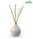 Litstick Reed Diffuser Striped Pot Set