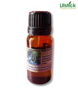 Litstick Rosemary Essential Oil- 10ml