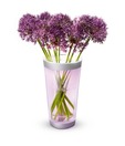 Philips 69153 Vase In HLA Clear 1x Lamp