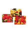 Bergner Rectangular Single Cutting Board