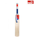 Puma Pulse 1500 English Willow Cricket Bat (Size 5)