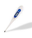 Equinox Hard Tip Digital Thermometer