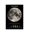 The Moon (Phases) (24 x 36 Inches)