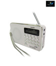 Pagaria Digital Usb Fm Radio Player